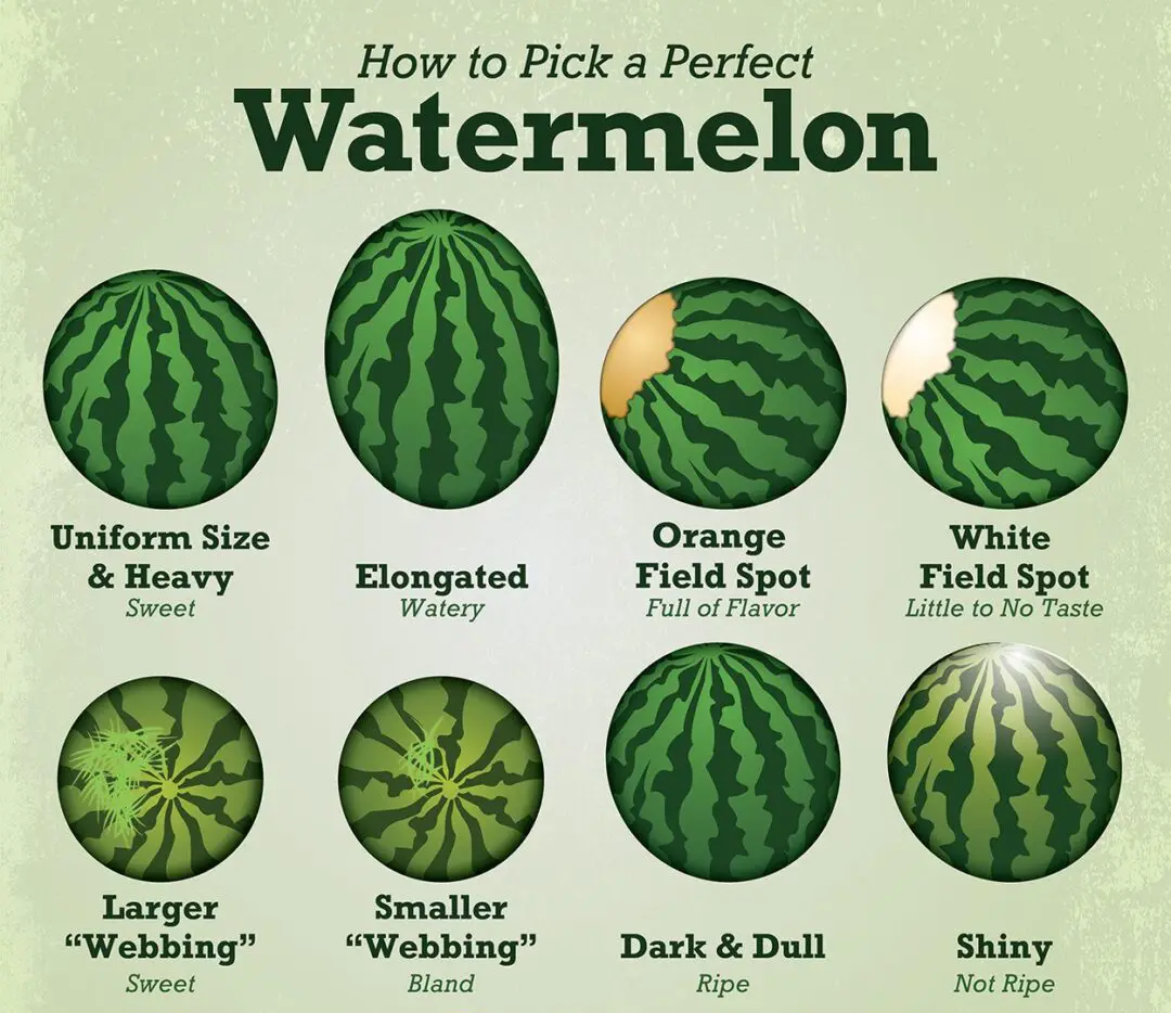 how to pick a good watermelon?